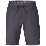 Pantaloni scurți bărbați Direct Alpine Solo Shorts 3.0 gri/negru anthracite