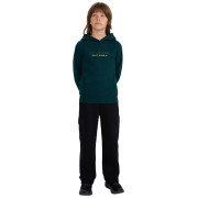 Hanorac copii 4F Sweatshirt M1959