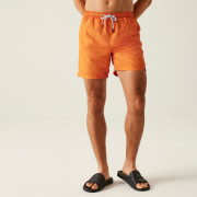 Pantaloni scurți bărbați Regatta Mackleyna Swim Short