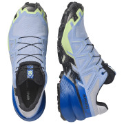Încălțăminte de alergat pentru bărbați Salomon Speedcross 6 GTX Icon