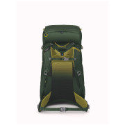 Rucsac pentru copii Osprey Ace 38