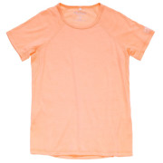 Tricou femei Devold Endurance Merino 130 Tee Wmn roz deschis SUNRISE