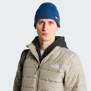 Căciulă The North Face Dock Worker Recycled Beanie