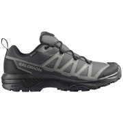 Încălțăminte de trekking pentru bărbați Salomon Exraise Gtx gri Asphalt / Sedona Sage / Black