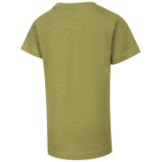 Tricou copii Alpine Pro Nogero Green Oasis