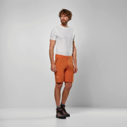 Pantaloni scurți bărbați Salewa Puez Talveno Dst Shorts M