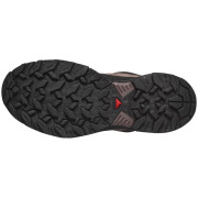 Încălțăminte femei Salomon X Ultra 360 Leather Gore-Tex
