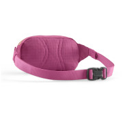 Borsetă Patagonia Terravia Mini Hip Pack
