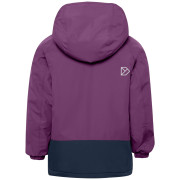 Geacă de iarnă copii Didriksons Talvi Kids Jkt 2 Northen Purple