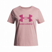 Tricou copii Under Armour BIG LOGO SS-PNK roz deschis Pink