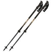 Bețe de schi alpinism Fizan Aria