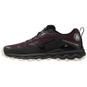 Pantofi pentru alergare femei Mizuno Wave Daichi 6 Gtx