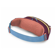 Borsetă Osprey Daylite Waist Pack