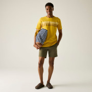 Tricou bărbați Regatta Rendro