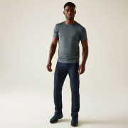 Pantaloni bărbați Regatta Montorn