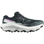 Încălțăminte de alergat pentru femei Salomon Ultra Flow 2 Gore-Tex