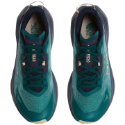 Încălțăminte de alergat pentru bărbați The North Face M Altamesa 300 V2