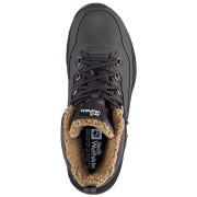 Încălțăminte de iarnă bărbați Jack Wolfskin Everquest Texapore Mid