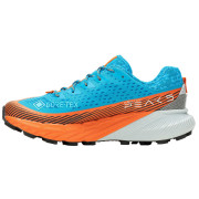 Încălțăminte de alergat pentru bărbați Merrell Agility Peak 5 Gtx