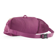 Borsetă Patagonia Terravia Hip Pack