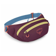 Borsetă Osprey Daylite Waist Pack