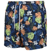 Pantaloni scurți bărbați Regatta Loras Swim Short m