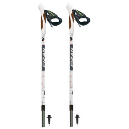 Bețe Fizan NW Fitness gri/negru