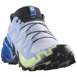 Încălțăminte de alergat pentru bărbați Salomon Speedcross 6 GTX Icon