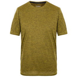 Tricou bărbați Regatta Fingal Edition