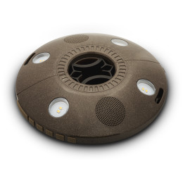 Reproductor Ion Patio Mate maro