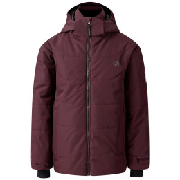 Geacă de iarnă copii Dare 2b Explorer Jacket violet Fig
