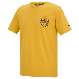 Tricou bărbați Regatta Cline IX galben CeylonYellow
