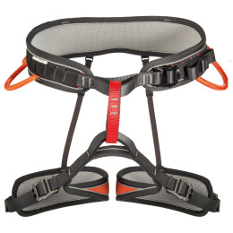 Ham Singing Rock Attack III