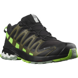 Încălțăminte de alergat pentru bărbați Salomon Xa Pro 3D V8 Gore-Tex negru/verde