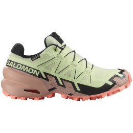 Încălțăminte femei Salomon Speedcross 6 Gore-Tex