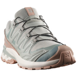 Încălțăminte femei Salomon Xa Pro 3D V9 Gore-Tex Lifelong