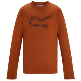 Tricou copii Regatta Winter Alvarado Rooibos Tea portocaliu/ Rooibos Tea