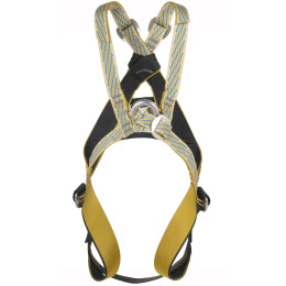 Ham Singing Rock Bala