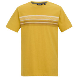 Tricou bărbați Regatta Rendro galben CeylonYellow