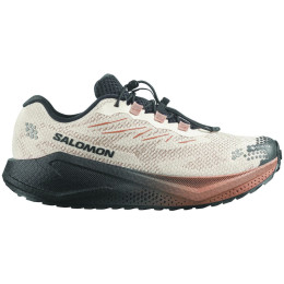 Încălțăminte bărbați Salomon Aero Blaze 4 Grvl Gtx