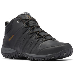 Încălțăminte bărbați Columbia Woodburn II Chukka WP OH negru