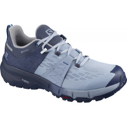 Încălțăminte femei Salomon Odyssey Gtx W