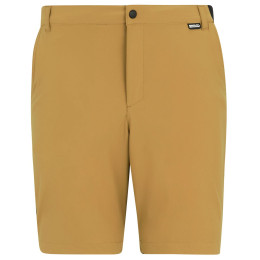 Pantaloni scurți bărbați Regatta Anti-Insect Travel Light Shorts maro Wood Brown