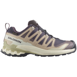 Încălțăminte turistică femei Salomon Xa Pro 3D V9 Gore-Tex bej Nine Iron / Oxford Tan / Alfalfa