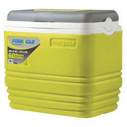 Cutie frigorifică Pinnacle Primero 25L gri/galben Lime