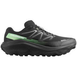 Încălțăminte bărbați Salomon Ultra Flow 2 Gore-Tex