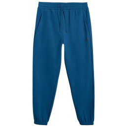 Pantaloni bărbați 4F Trousers Cas M1139
