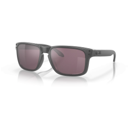Ochelari de soare OAKLEY Holbrook Steel