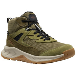 Încălțăminte copii Keen Hightrail Mid Wp Youth Dark Olive verde dark olive/martini olive