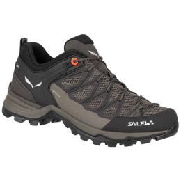 Încălțăminte femei Salewa Ws Mtn Trainer Lite Gtx